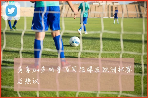 黄喜灿多纳鲁马同场爆发欧洲杯赛后热议 - 壹号国际app下载