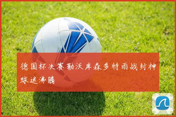 德国杯决赛勒沃库森多特雨战封神球迷沸腾 - 壹号国际app下载