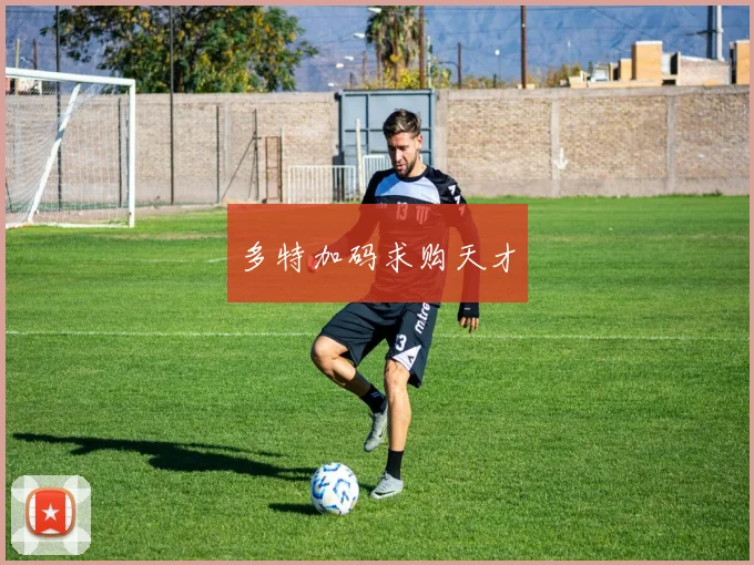 多特加码求购天才 - 壹号国际app下载