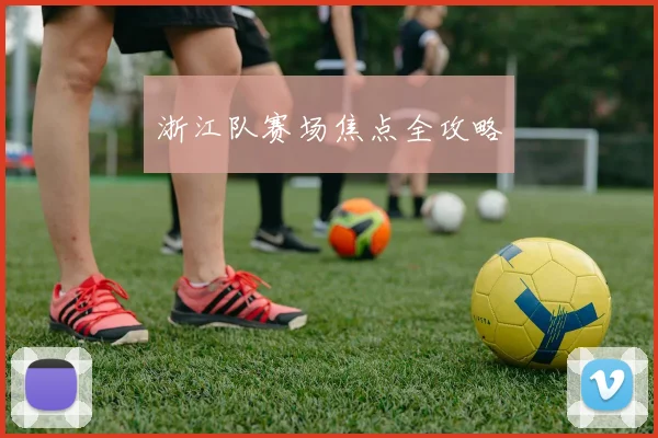 浙江队赛场焦点全攻略 - 壹号国际app下载