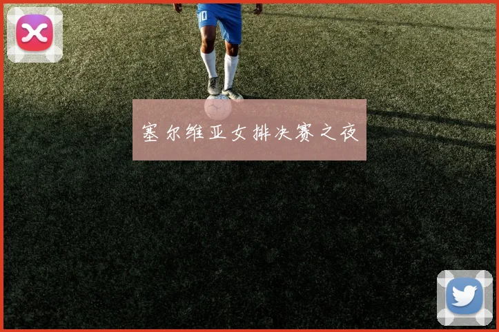 塞尔维亚女排决赛之夜 - 壹号国际app下载